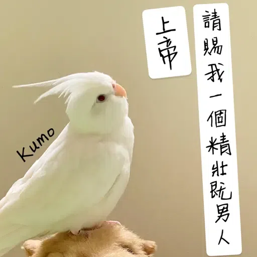 Haru Kumo - Sticker 13