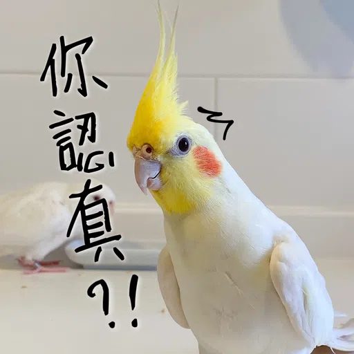 Haru Kumo - Sticker 12