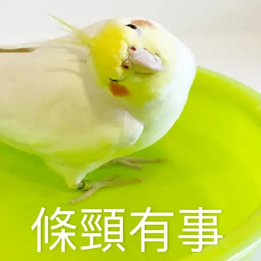 Haru Kumo - Sticker 15