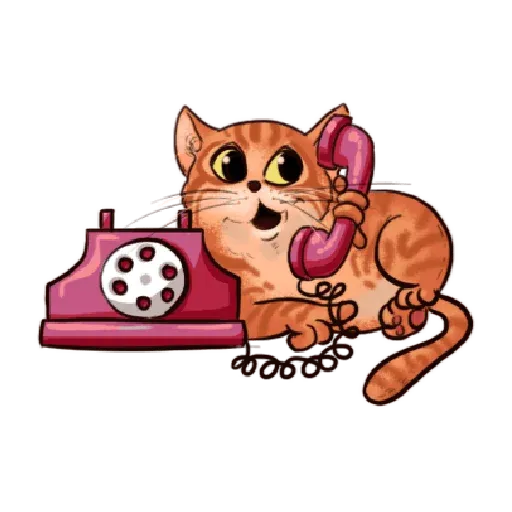 🐈 - Sticker 16