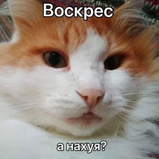 Го - Sticker 23