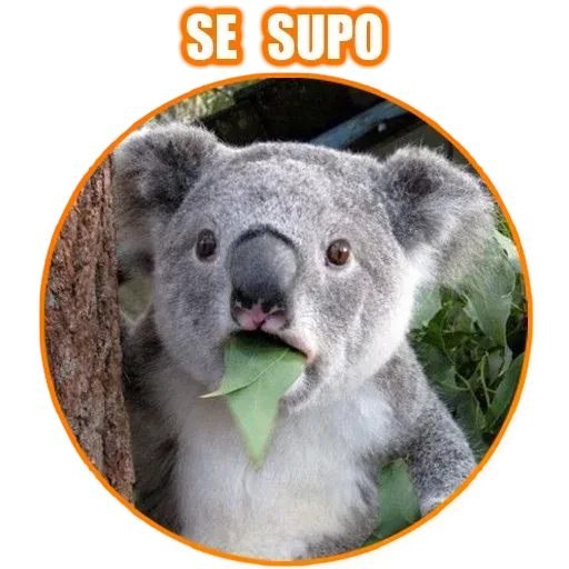 Frases4 - Sticker 18