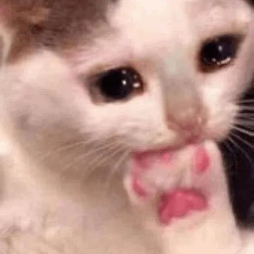 Memes2 - Sticker 15