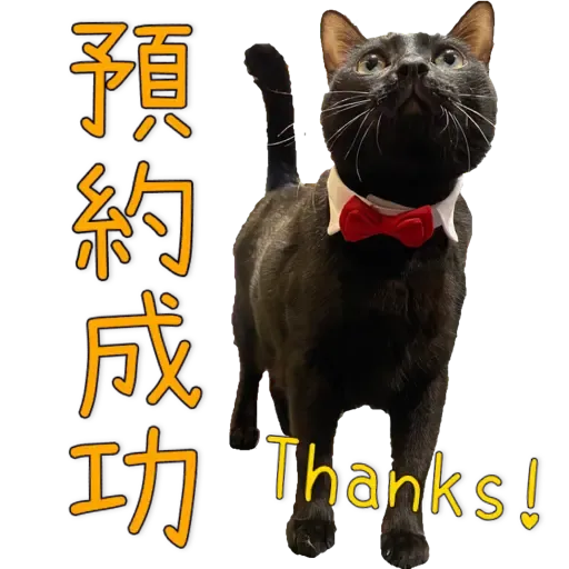 Hug&Home_日常篇 - Sticker 11