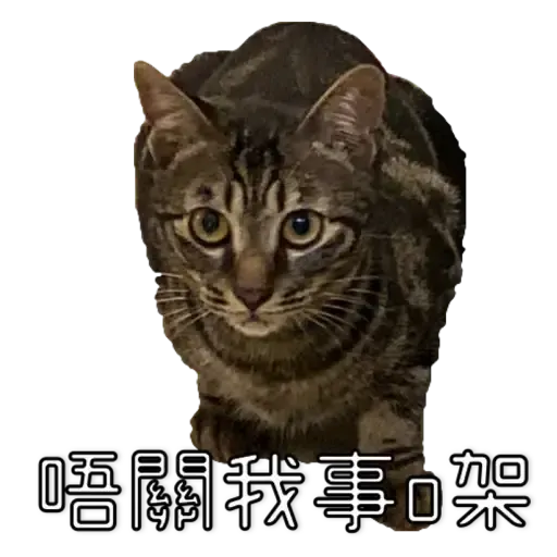 Hug&Home_日常篇 - Sticker 9