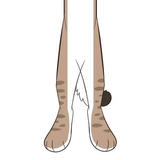Lynx - Sticker 17
