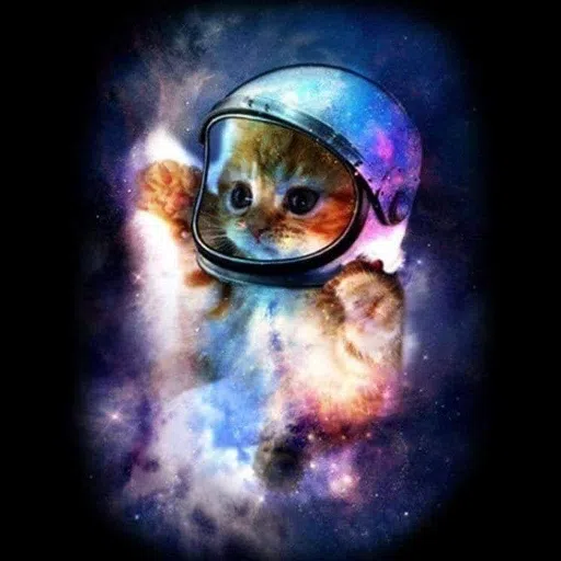 Mas Gatus - Sticker 15