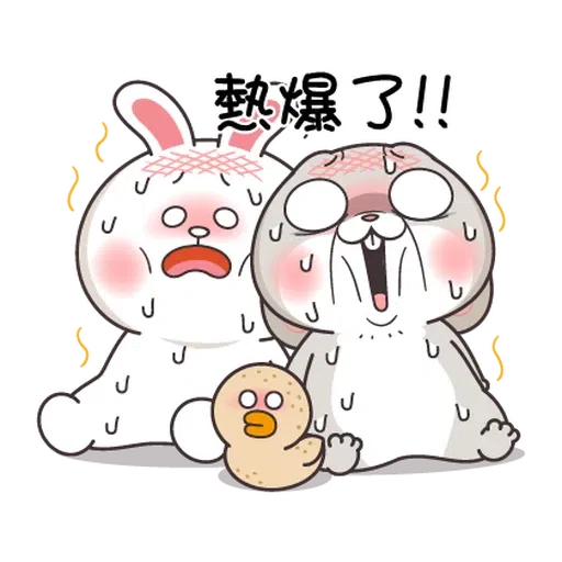 兔🐰 - Sticker 21