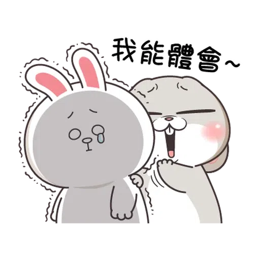兔🐰 - Sticker 17