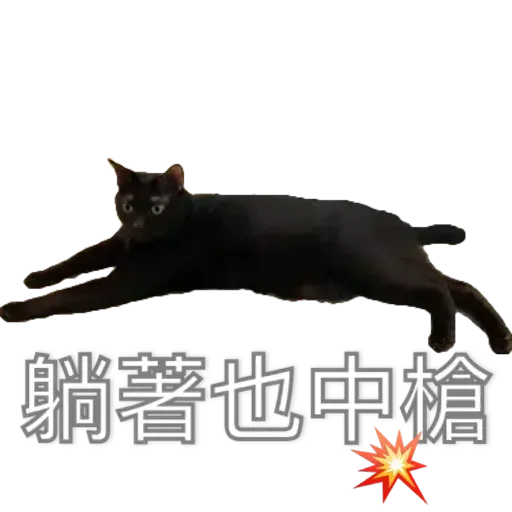 Hug&Home_炭炭篇 - Sticker 11