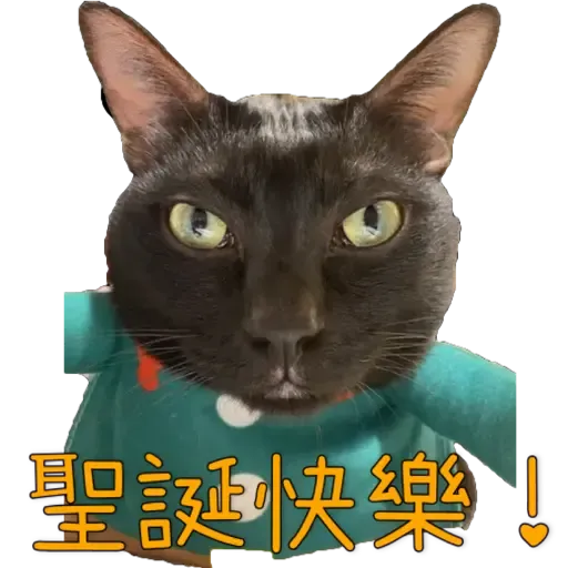 Hug&Home_炭炭篇 - Sticker 14