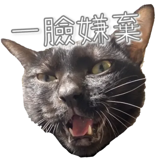 Hug&Home_炭炭篇 - Sticker 9