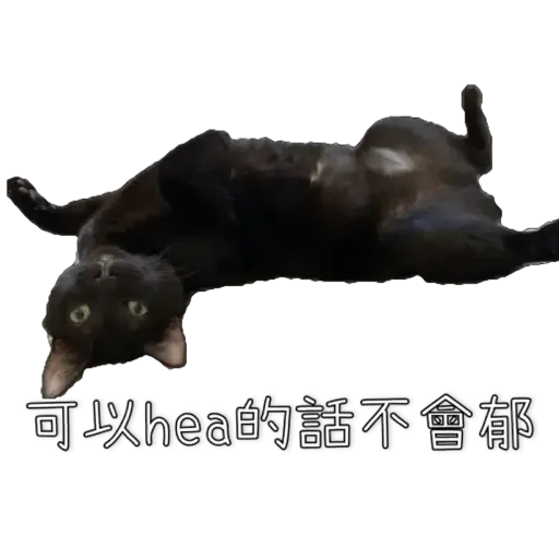 Hug&Home_炭炭篇 - Sticker 10
