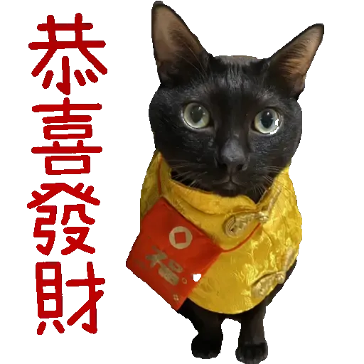 Hug&Home_炭炭篇 - Sticker 15