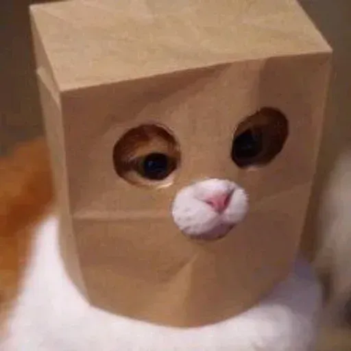 Meow:3 (1) - Sticker 28