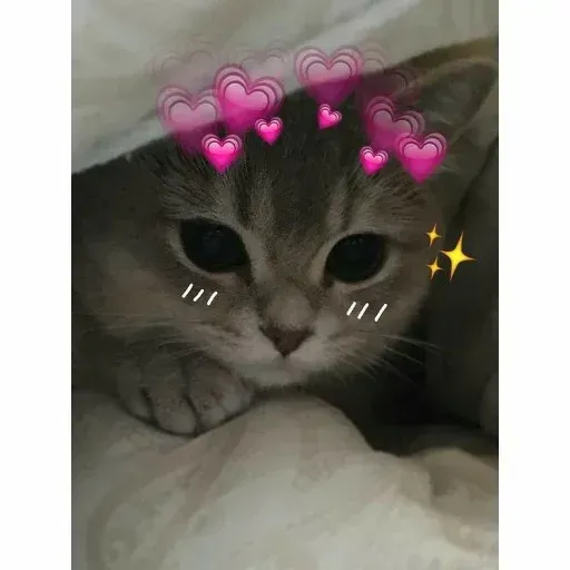 Meow:3 (1) - Sticker 29