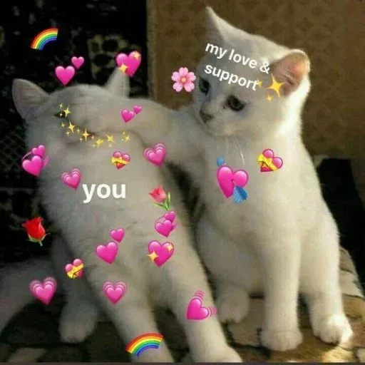 Meow:3 (1) - Sticker 17