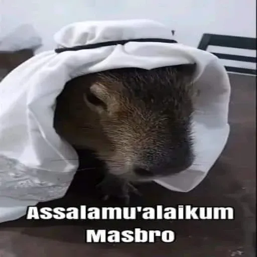 masbro - Sticker