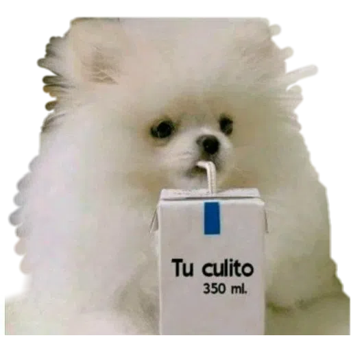 Cru - Sticker 24