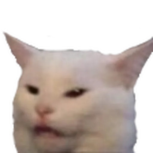 discord - Sticker 9