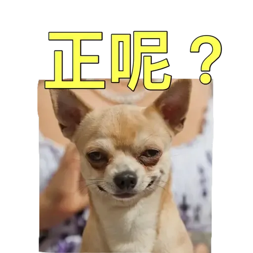 樣樣衰衰的動物 - Sticker 10