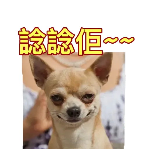 樣樣衰衰的動物 - Sticker 13