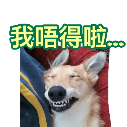 樣樣衰衰的動物 - Sticker 12