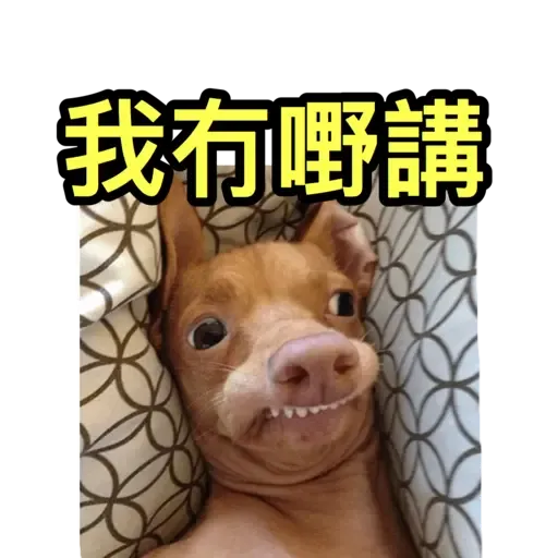 樣樣衰衰的動物 - Sticker 16
