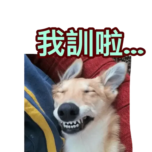 樣樣衰衰的動物 - Sticker 14