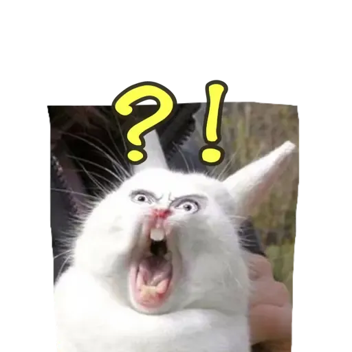 樣樣衰衰的動物 - Sticker 9