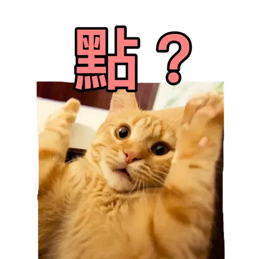 樣樣衰衰的動物 - Sticker 17