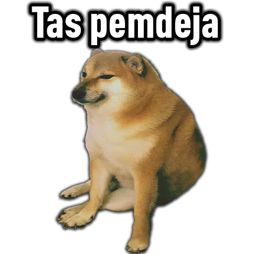 Cheems2 - Sticker 16