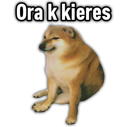 Cheems2 - Sticker 14