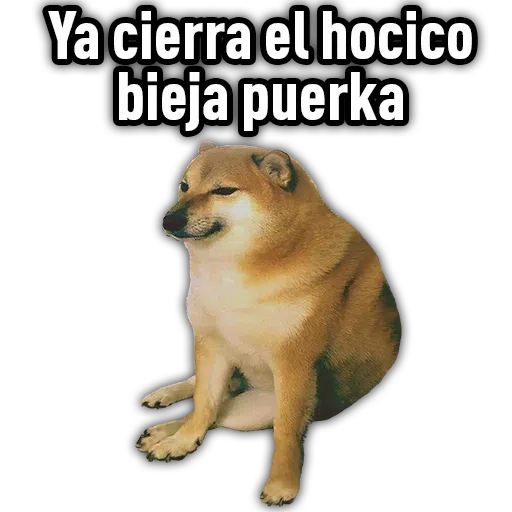 Cheems2 - Sticker 26