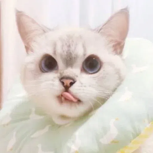 Nala - Sticker 18