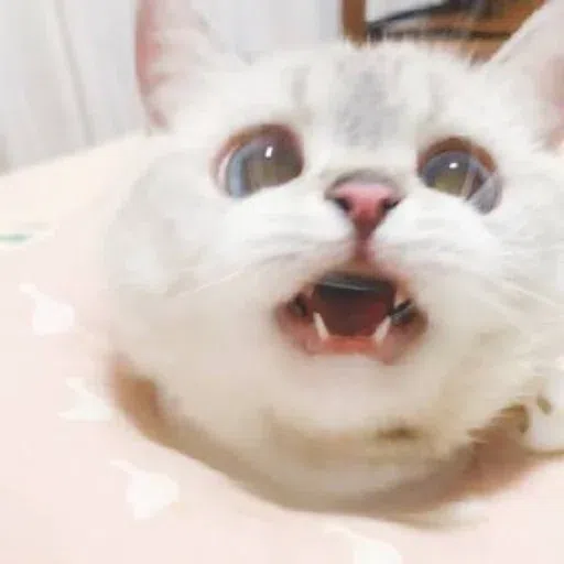 Nala - Sticker 19