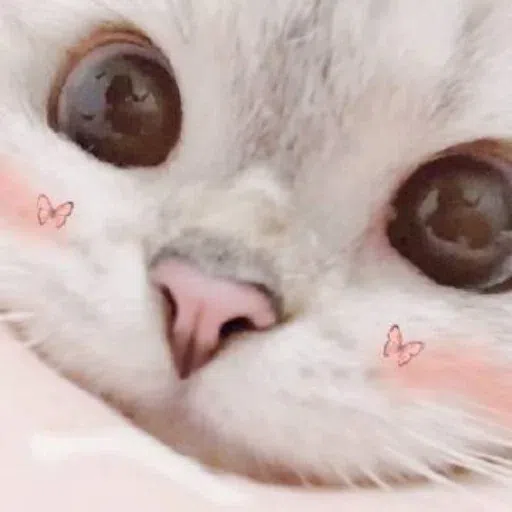 Nala - Sticker 25