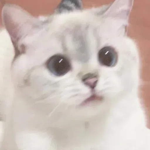 Nala - Sticker 9