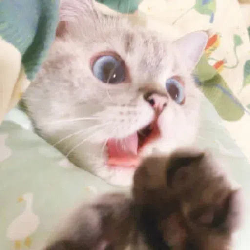 Nala - Sticker 14