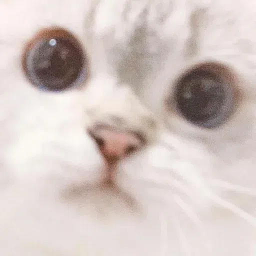 Nala - Sticker 10