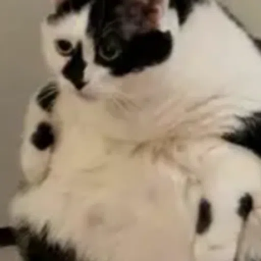 mems - Sticker 14
