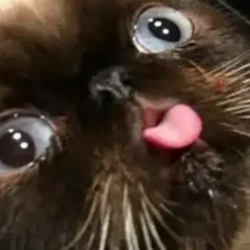 mems - Sticker 11