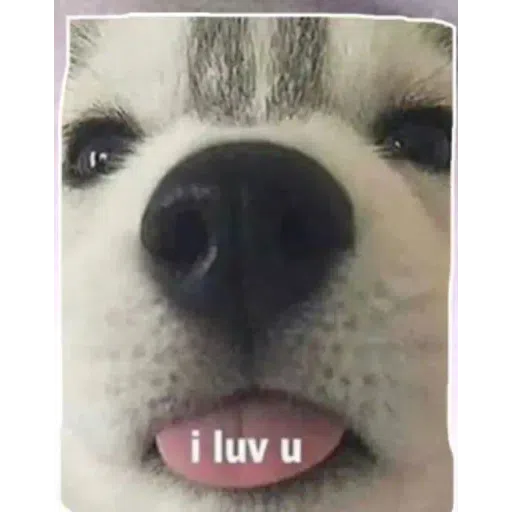 Nuovi memed - Sticker 24