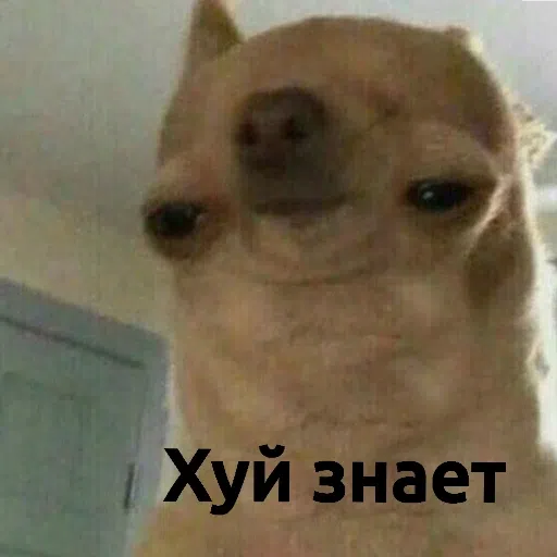 фразочки - Sticker 14