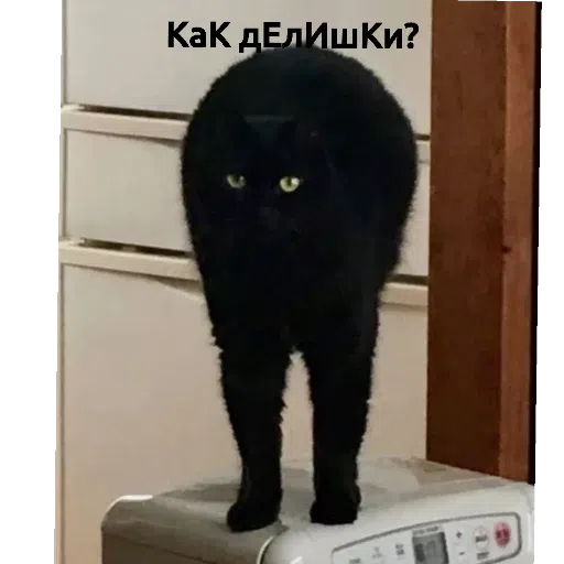 фразочки - Sticker 11
