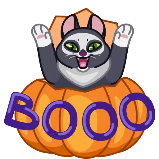 Memes with cats - Sticker 27