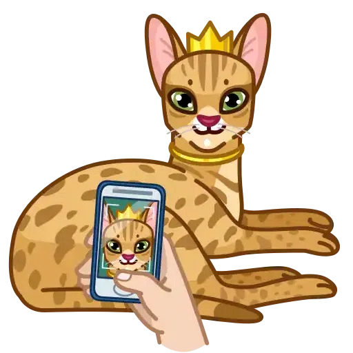 Memes with cats - Sticker 25