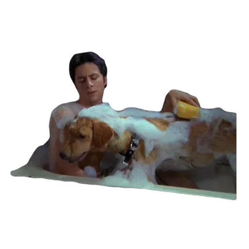 Scrubs - Sticker 30