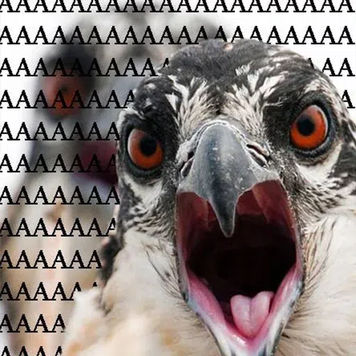 Random bird stuff - Sticker 10