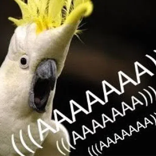 Random bird stuff - Sticker 9